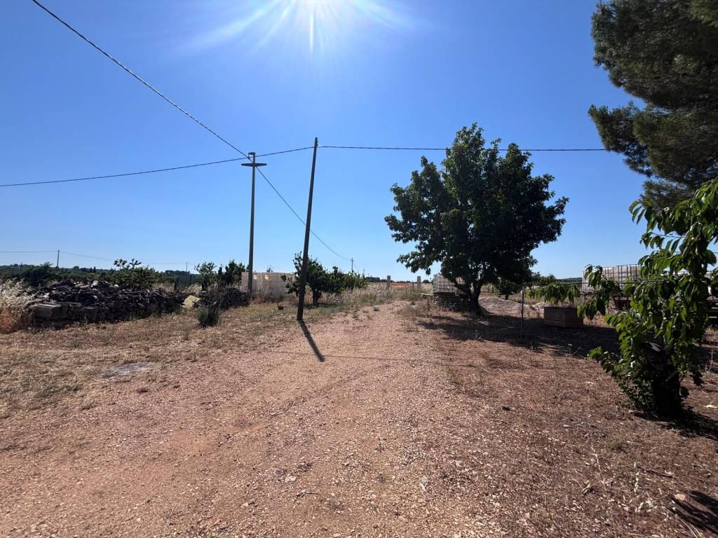 immagine annuncio 2 di 4