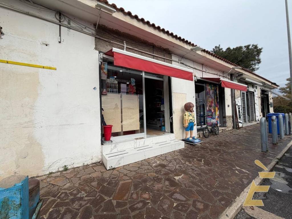 immagine annuncio 1 di 4