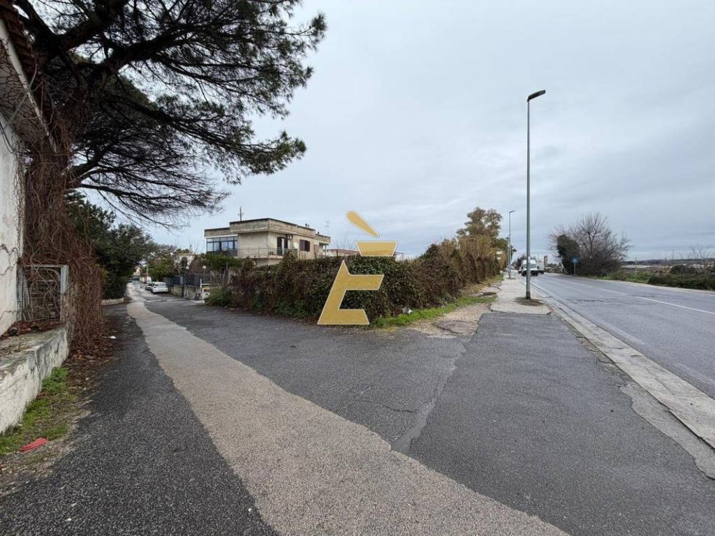 immagine annuncio 2 di 4