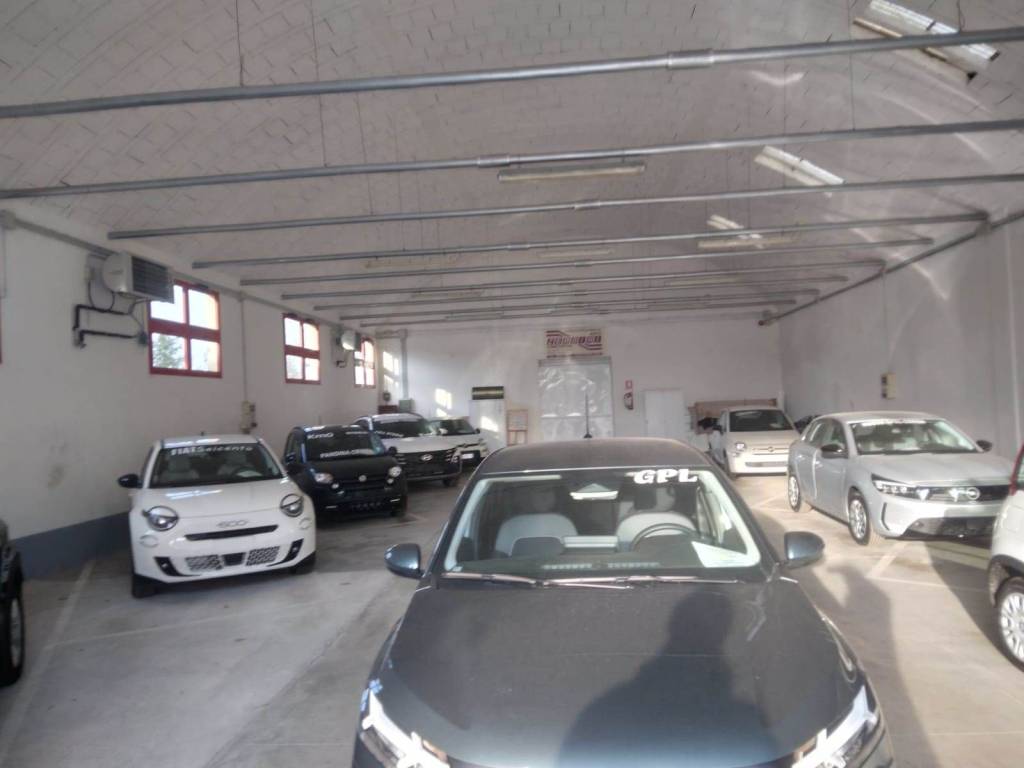 immagine annuncio 3 di 5