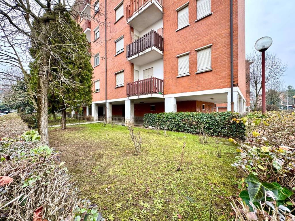 immagine annuncio 1 di 5