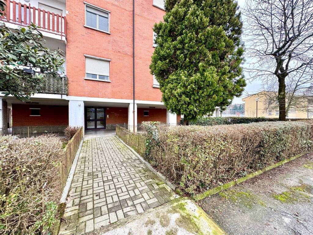 immagine annuncio 2 di 5