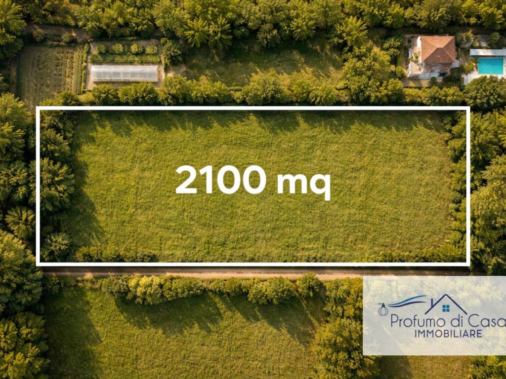 immagine annuncio 1 di 3