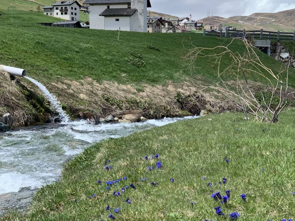 immagine annuncio 1 di 2