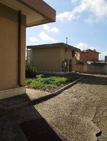 immagine annuncio 2 di 3