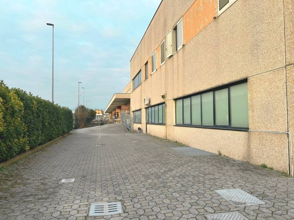 immagine annuncio 2 di 5