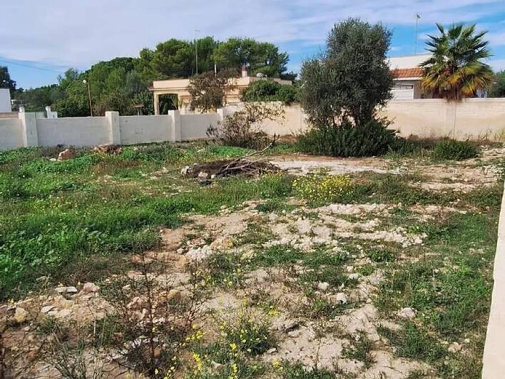 immagine annuncio 2 di 3