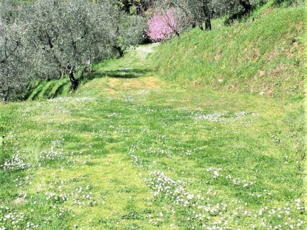 immagine annuncio 1 di 3