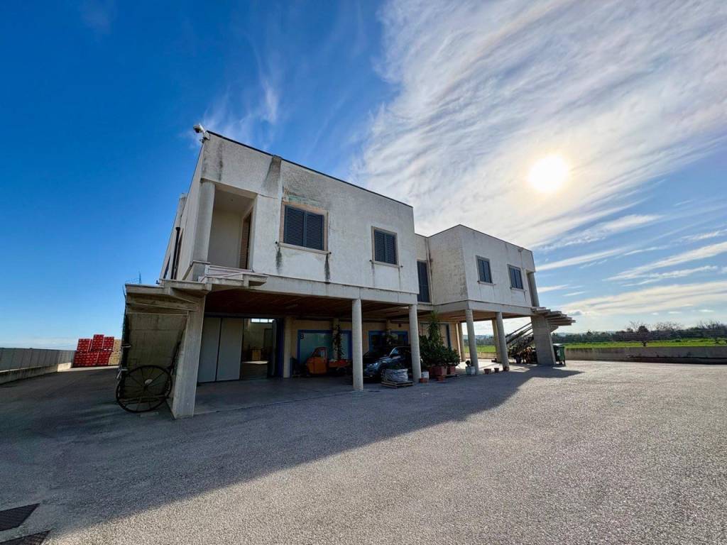 immagine annuncio 4 di 5