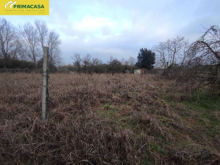 immagine annuncio 2 di 3