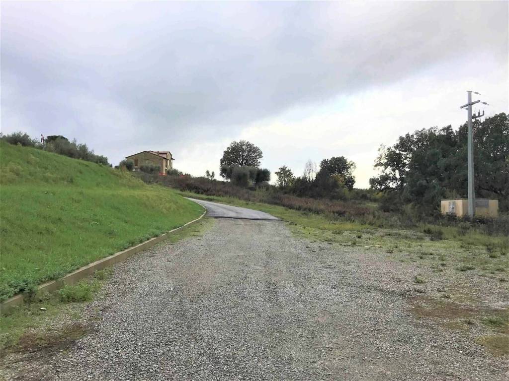 immagine annuncio 2 di 3