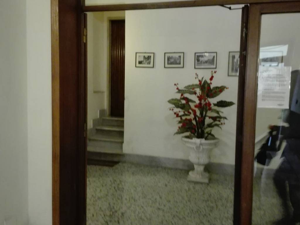 immagine annuncio 1 di 2