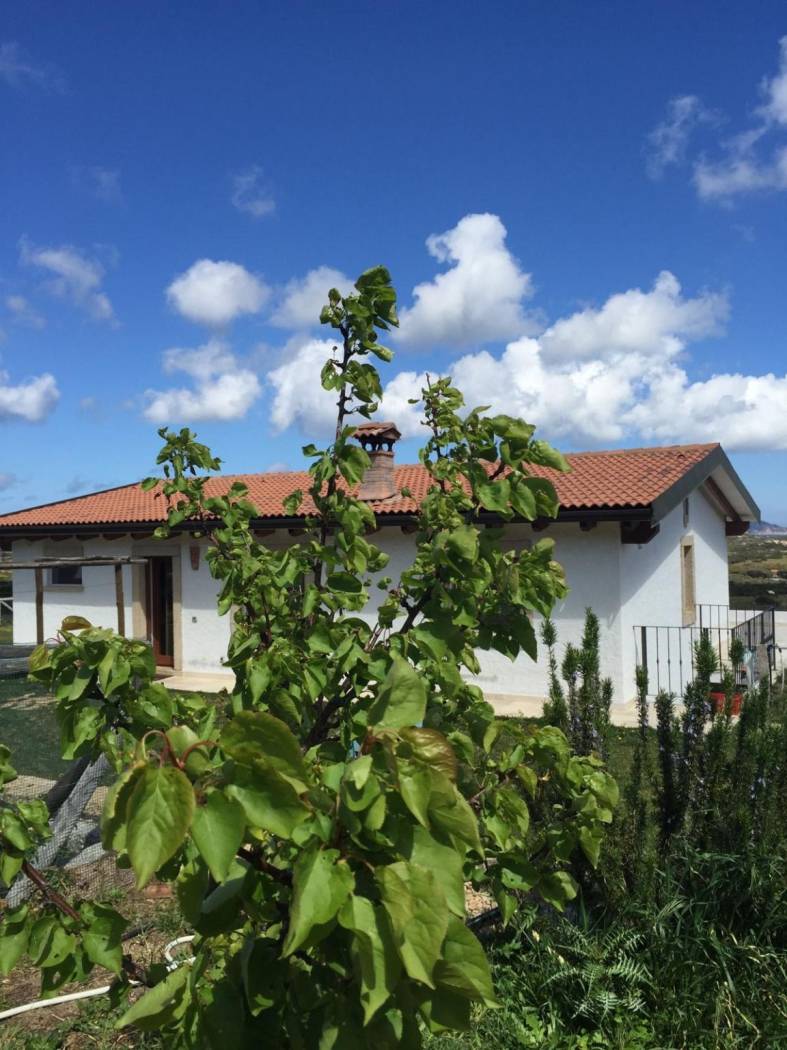 Rustico AZIENDA AGRICOLA CON VISTA MARE - Currighena Alta, snc, Santa Teresa Gallura - Photo 38