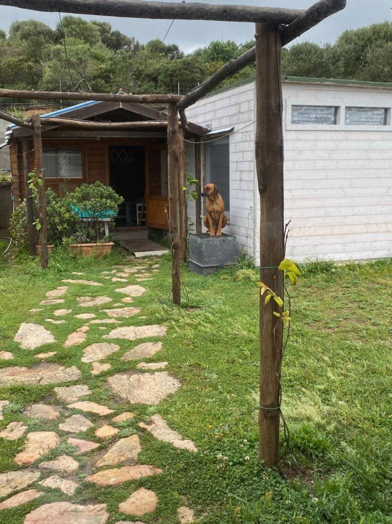 Rustico AZIENDA AGRICOLA CON VISTA MARE - Currighena Alta, snc, Santa Teresa Gallura - Photo 39