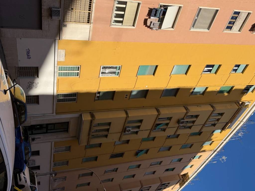 immagine annuncio 1 di 2