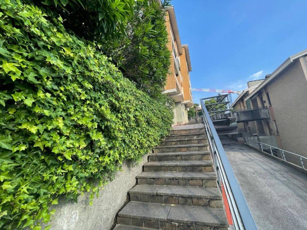 immagine annuncio 1 di 4