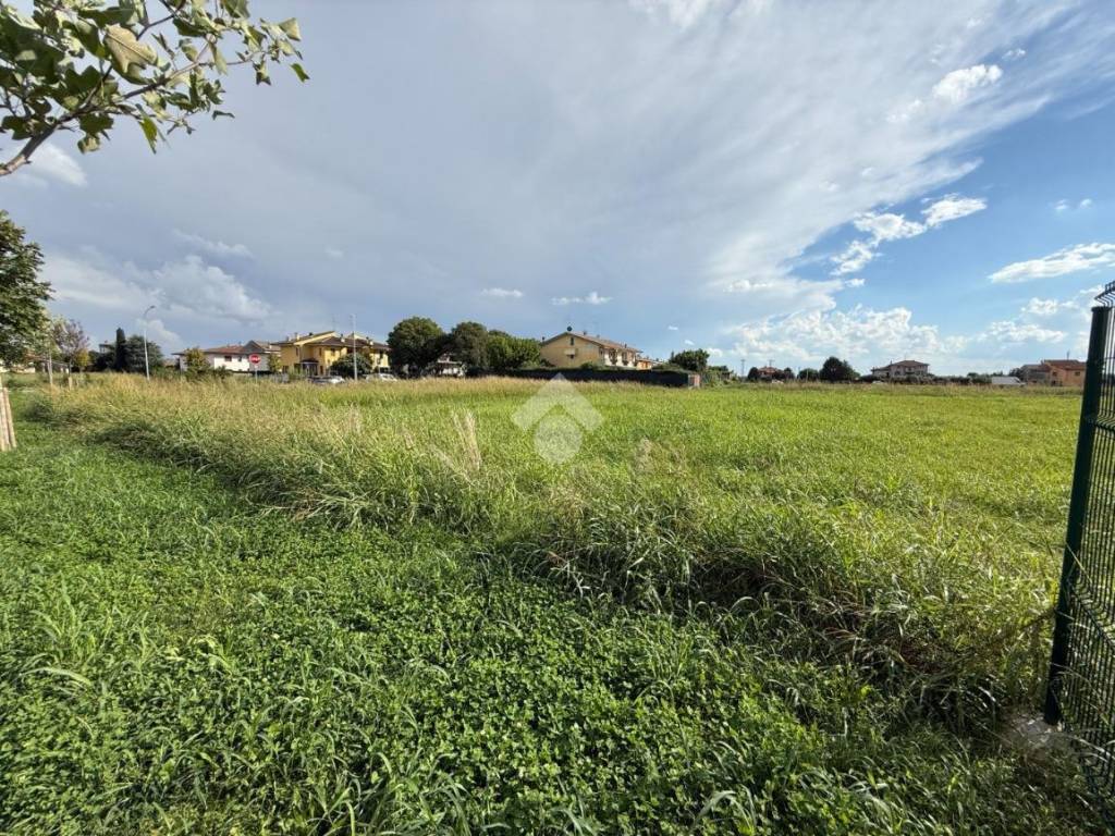 immagine annuncio 1 di 3