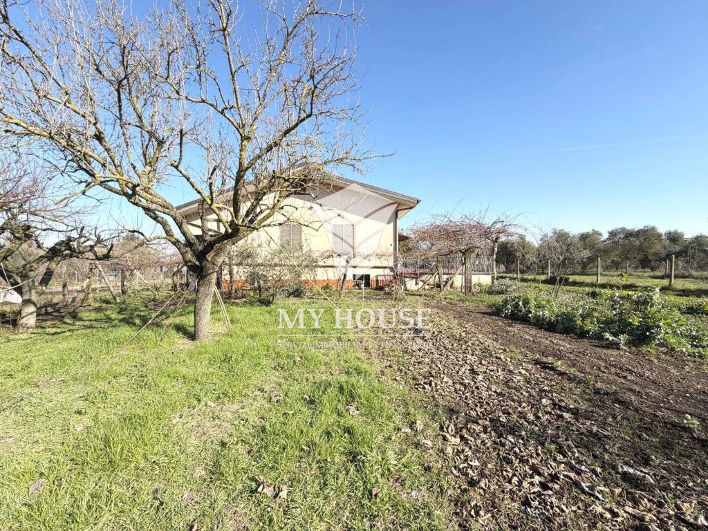 immagine annuncio 3 di 5