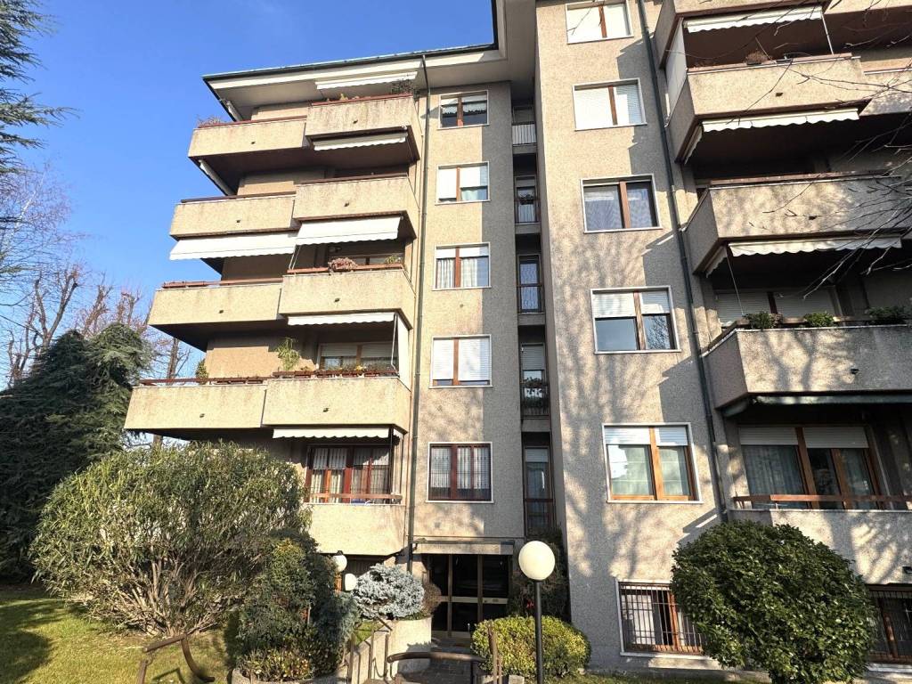 immagine annuncio 3 di 5