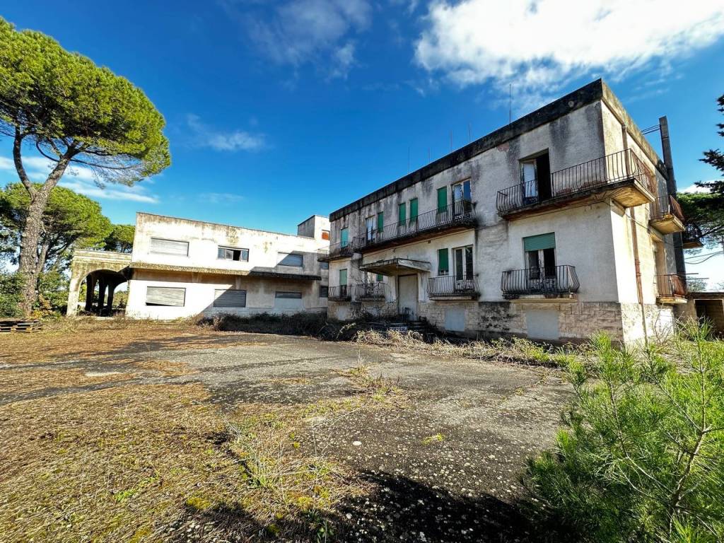 immagine annuncio 3 di 5