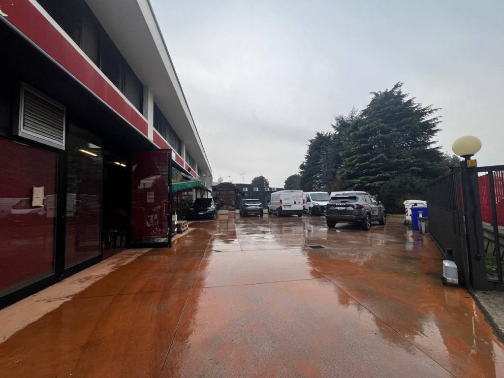 immagine annuncio 2 di 5