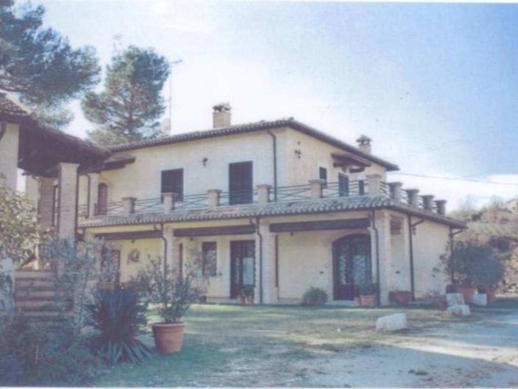 immagine annuncio 1 di 4