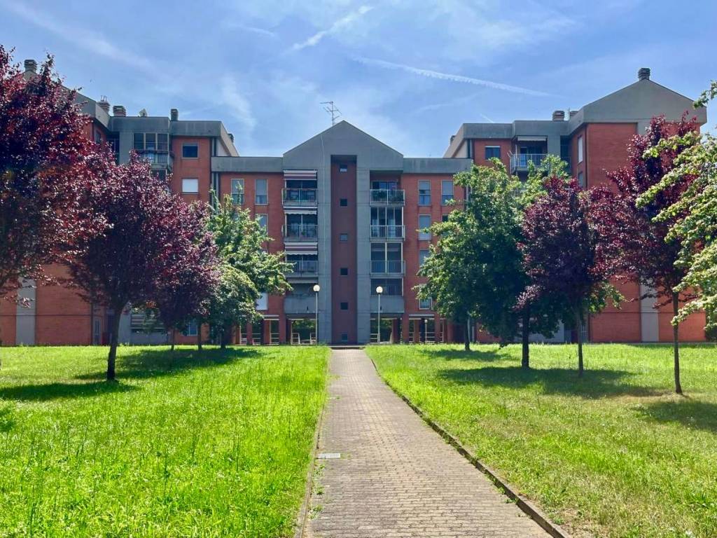 immagine annuncio 2 di 5