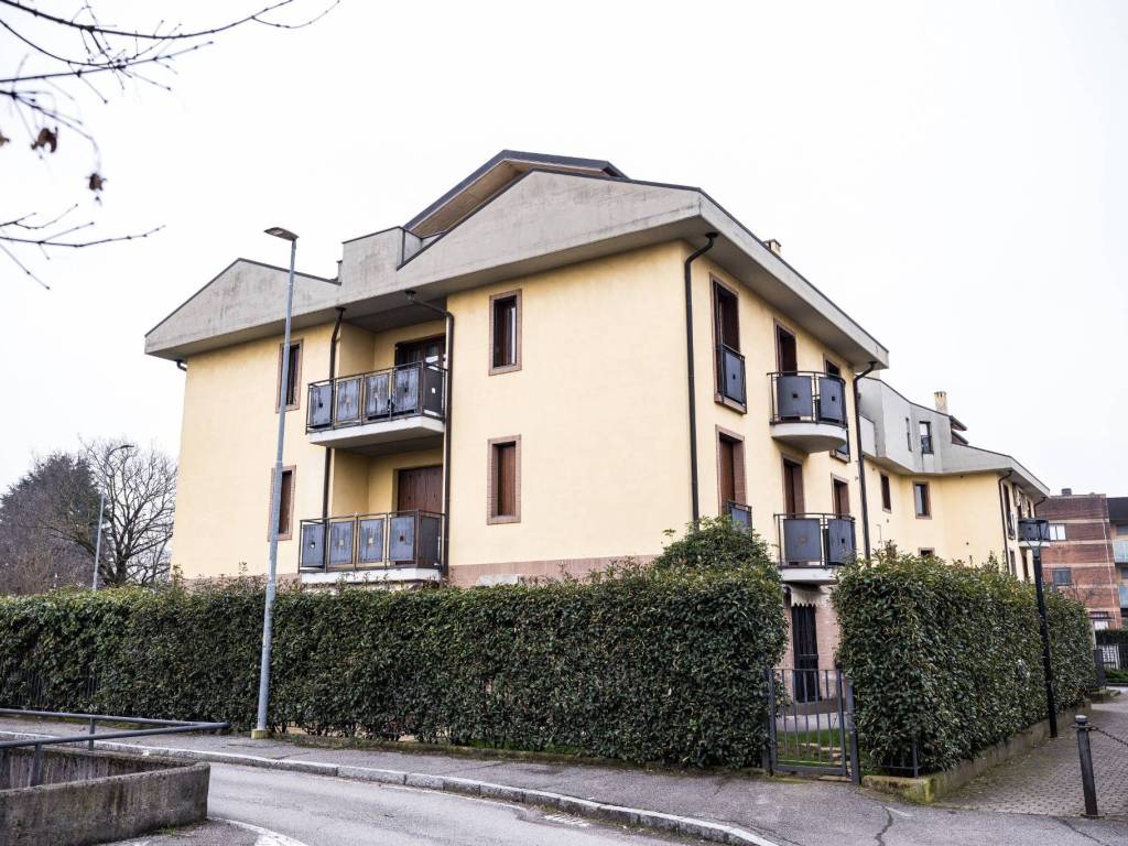 immagine annuncio 2 di 5