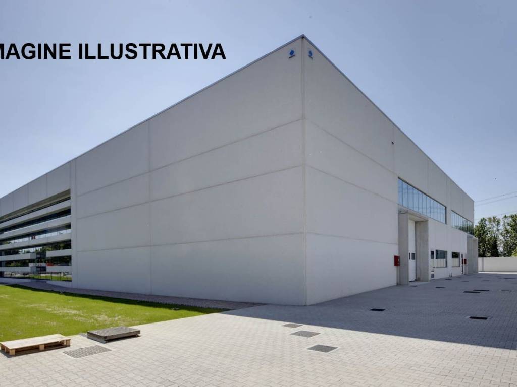 immagine annuncio 3 di 5