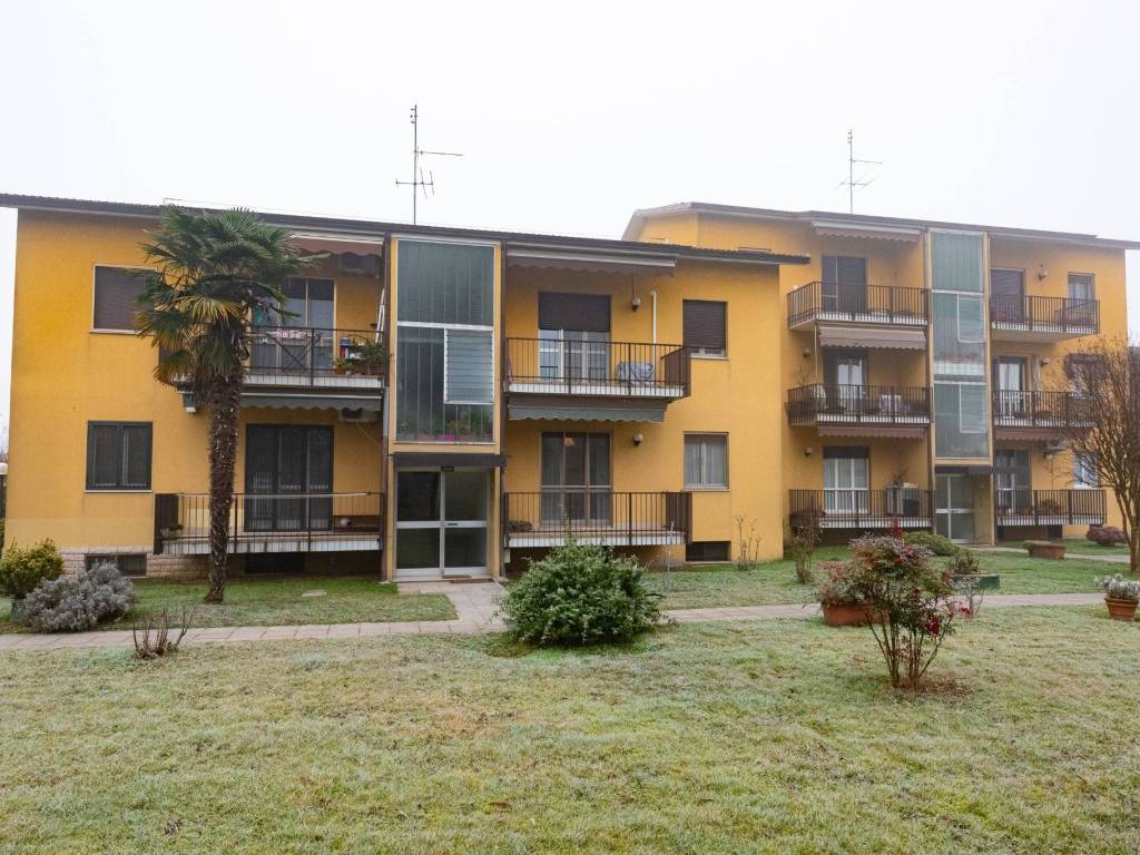 immagine annuncio 2 di 5