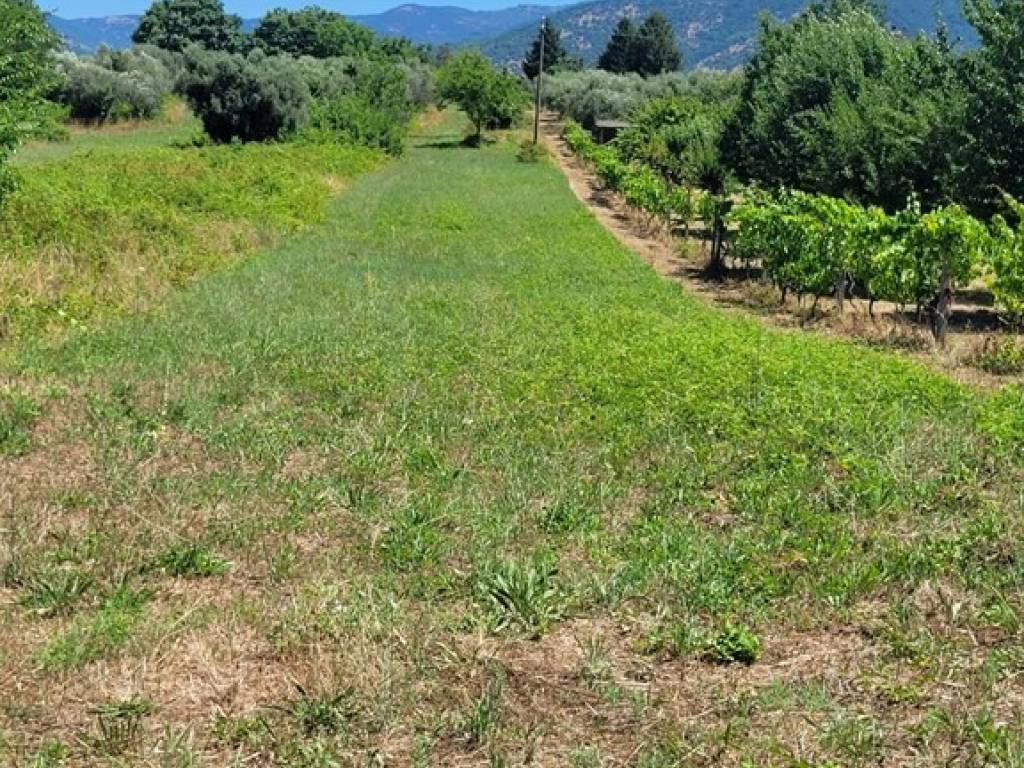 immagine annuncio 2 di 3