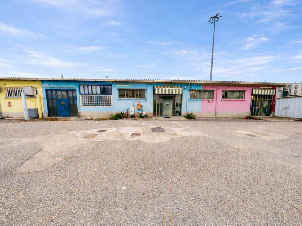 immagine annuncio 2 di 5