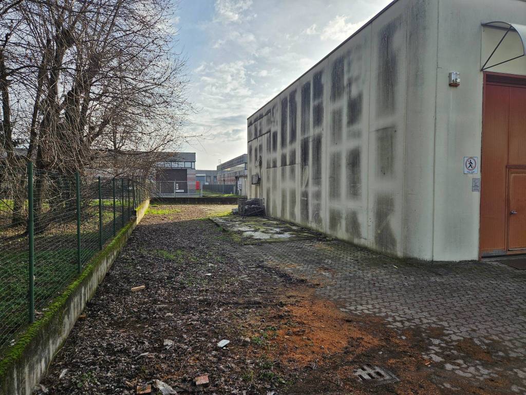 immagine annuncio 1 di 5