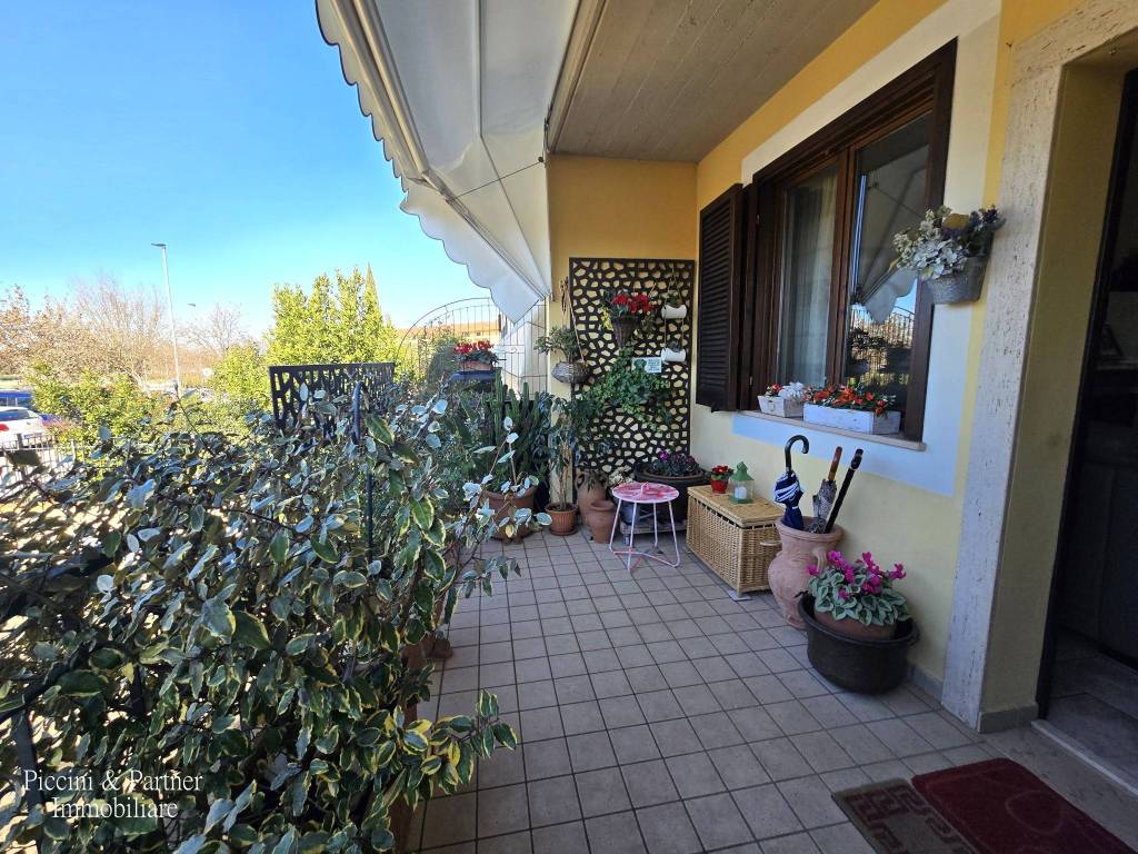 immagine annuncio 3 di 5