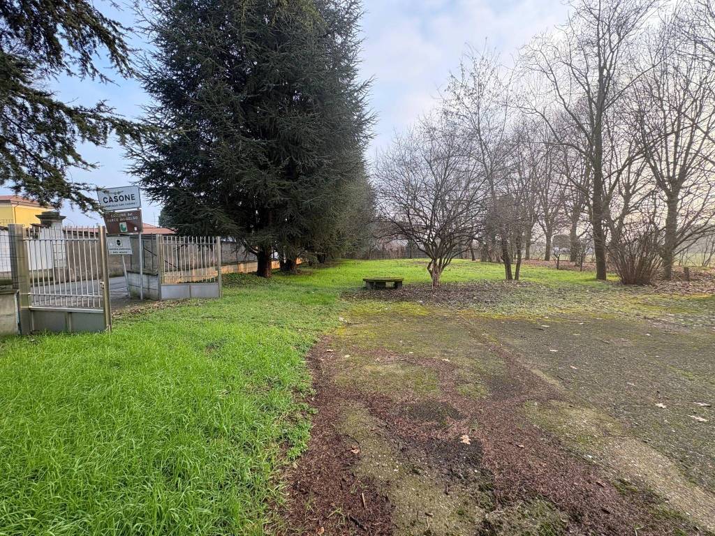 immagine annuncio 2 di 4