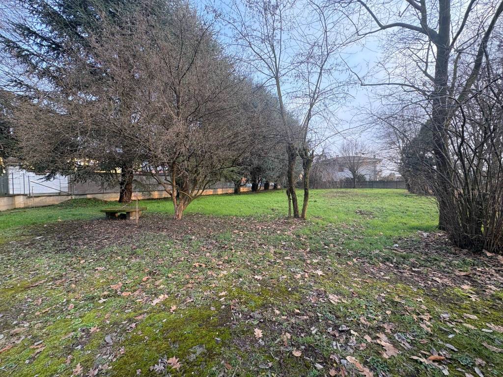 immagine annuncio 3 di 4