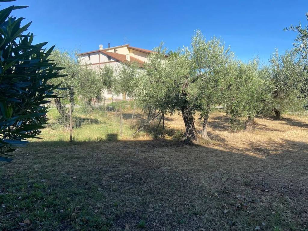 immagine annuncio 2 di 4