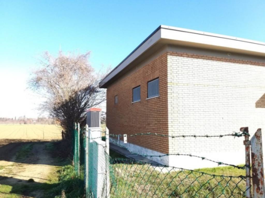 immagine annuncio 2 di 4