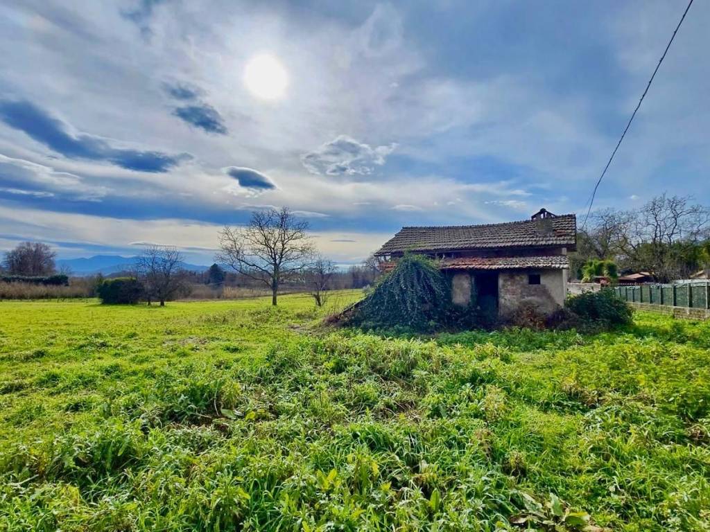 immagine annuncio 1 di 3