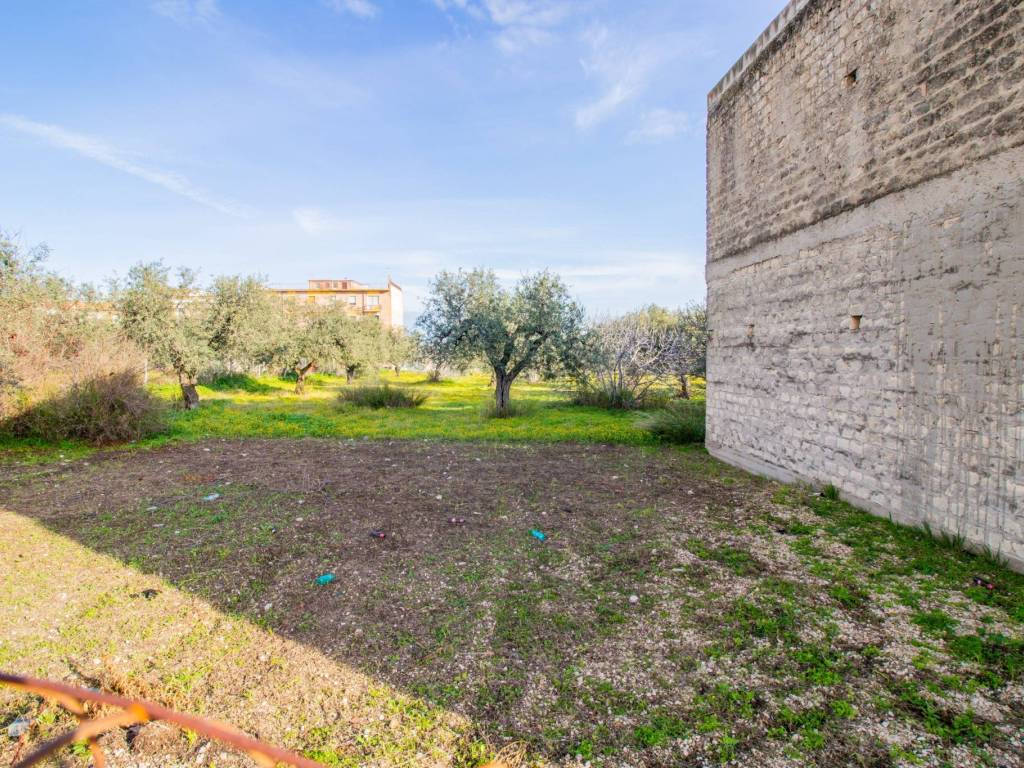 immagine annuncio 2 di 3