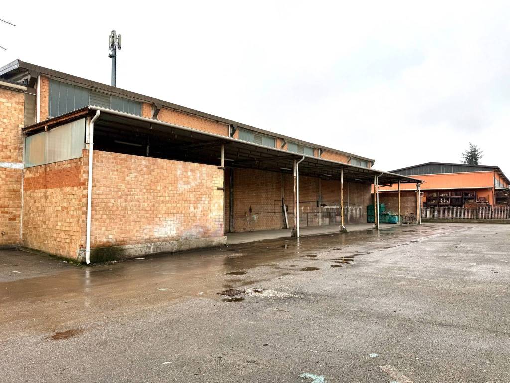 immagine annuncio 3 di 5