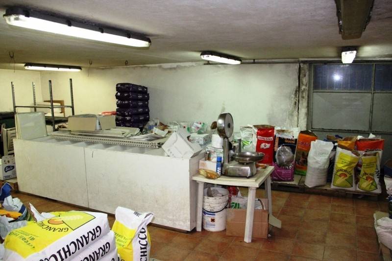 immagine annuncio 1 di 3