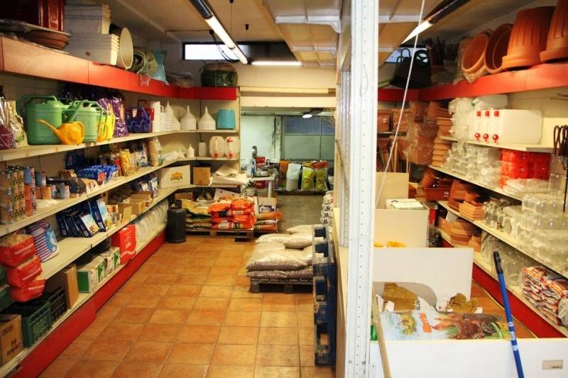 immagine annuncio 2 di 3