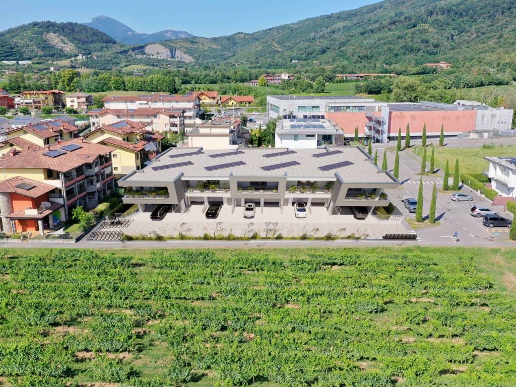 immagine annuncio 2 di 3