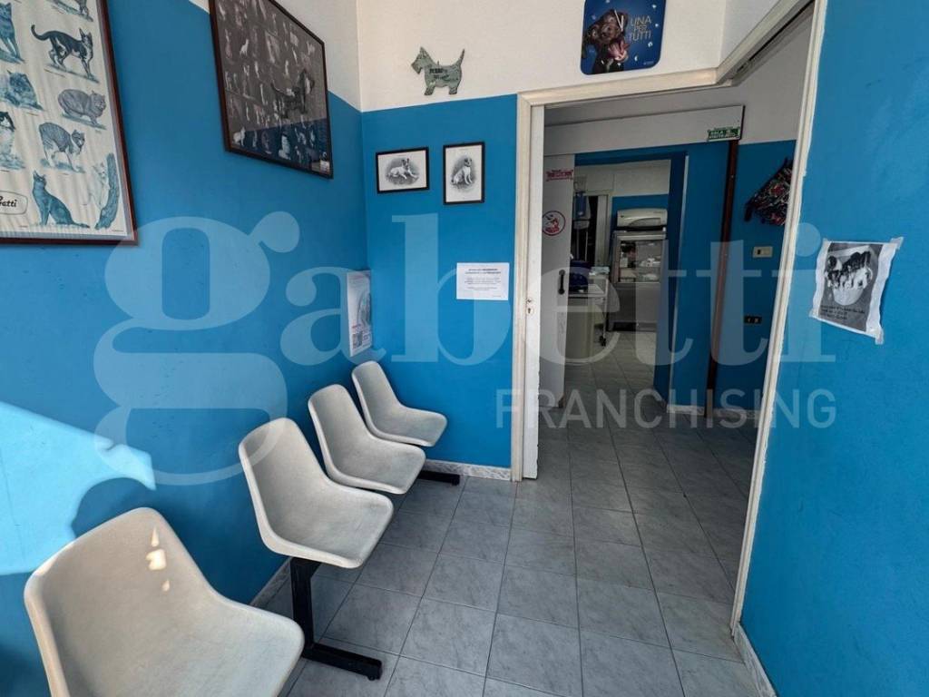 immagine annuncio 1 di 3