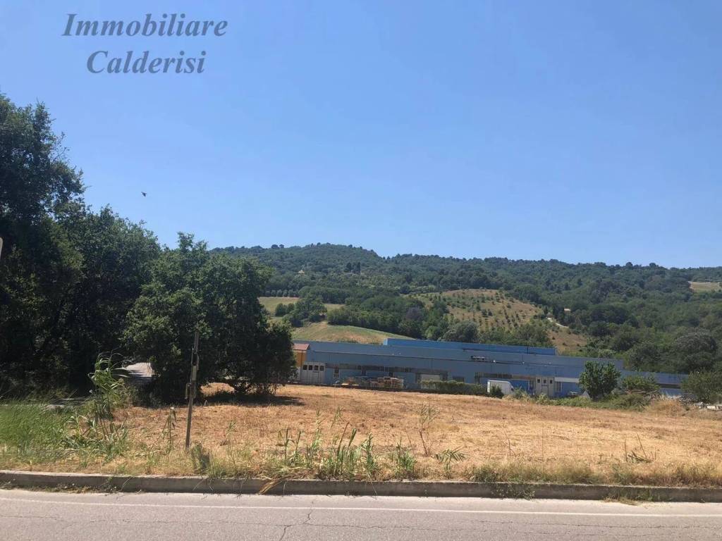 immagine annuncio 2 di 4