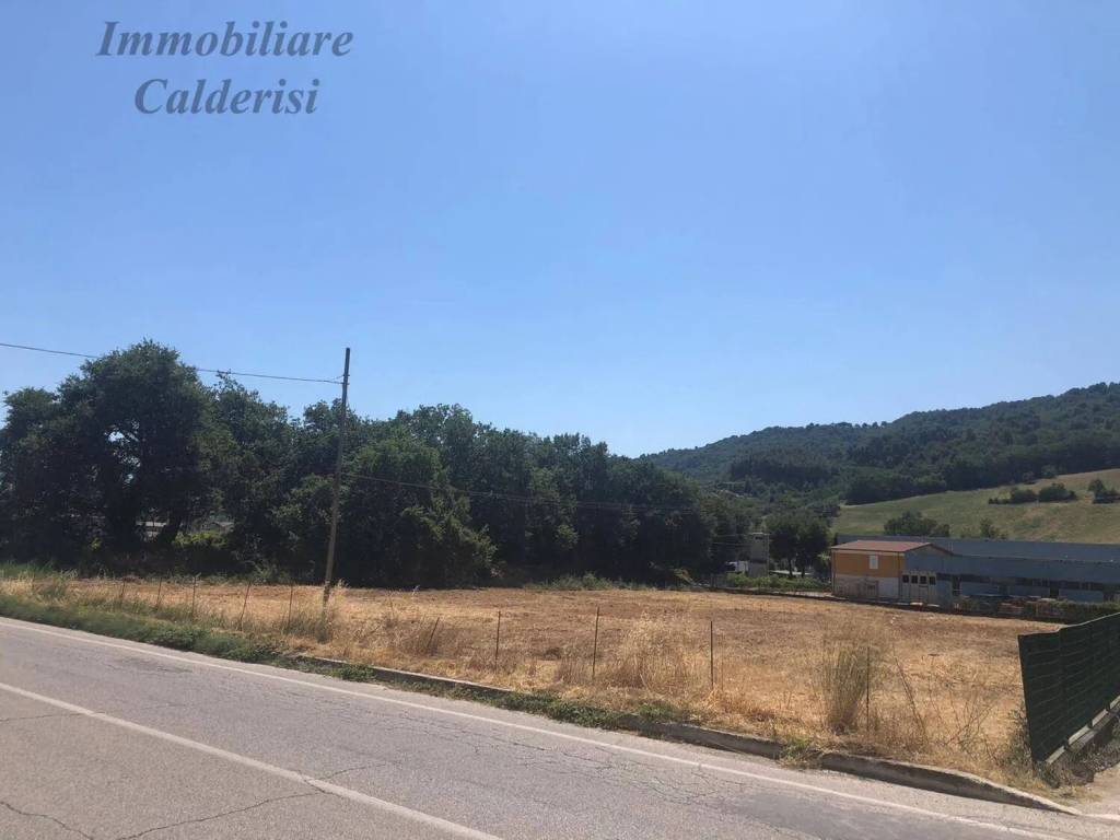 immagine annuncio 3 di 4