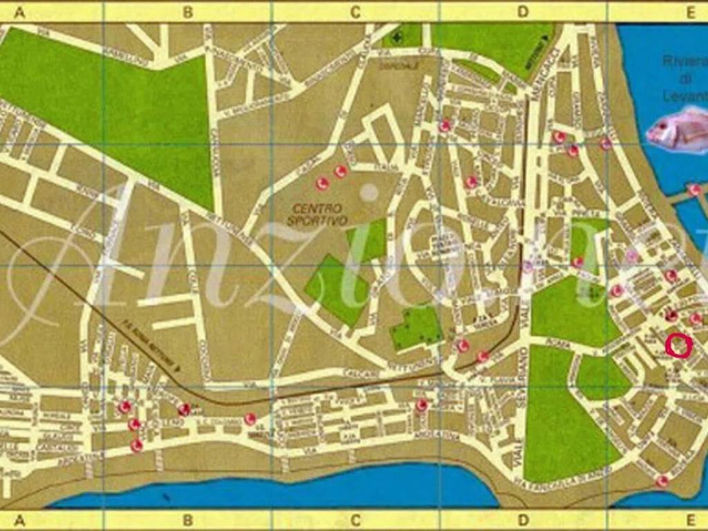 immagine annuncio 2 di 4