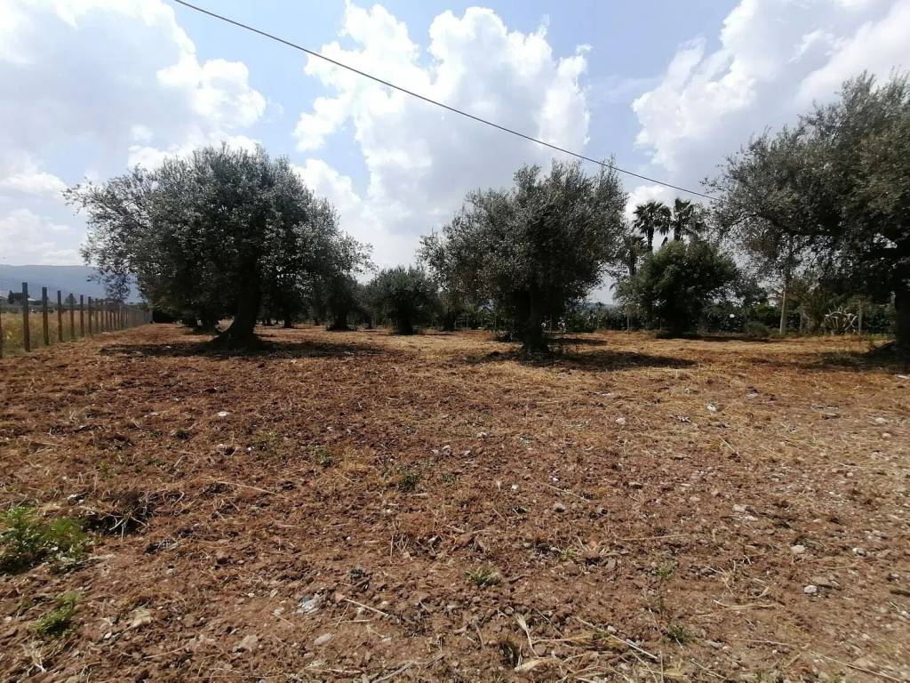 immagine annuncio 1 di 4