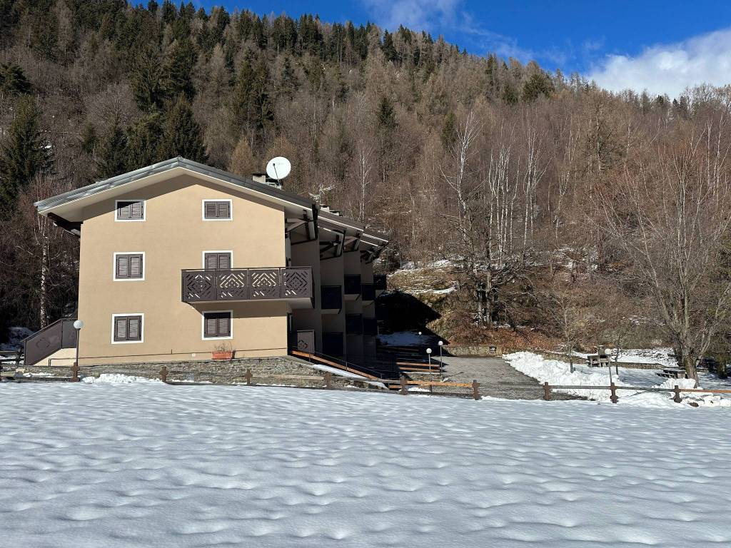 immagine annuncio 1 di 5